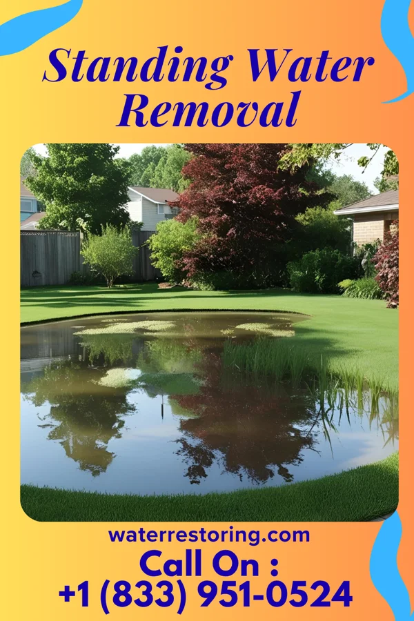 Standing Water Removal in Kirksville, MO